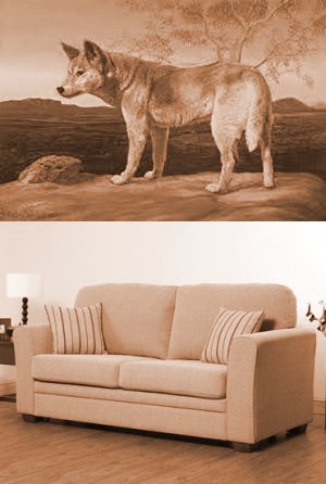 dingo sofa
